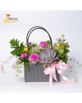 Cachet-Nàng Rực_Giỏ Hoa Sen Đá Làm Quà Tặng_Vsenda - belovedbeyond.com
