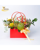 Cachet-Nàng Rực_Giỏ Hoa Sen Đá Làm Quà Tặng_Vsenda - belovedbeyond.com