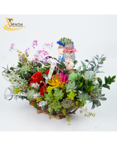 [Giữ Lại Rễ] Duyên Dáng_Lẵng Hoa Sen Đá Cắm - belovedbeyond.com