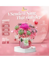 [Giữ Lại Rễ] Hoàn Mỹ_Lẵng Hoa Sen Đá Cắm - belovedbeyond.com