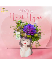 [Giữ Lại Rễ] Ngọt Ngào_Lẵng Hoa Cô Gái Sen Đá - belovedbeyond.com