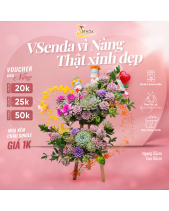 [Giữ Lại Rễ] Độc Lập_Kệ Hoa Sen Đá Mini Cắm Sáng T - belovedbeyond.com