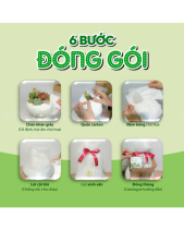 [Giữ Lại Rễ] Độc Lập_Kệ Hoa Sen Đá Mini Cắm Sáng T - belovedbeyond.com