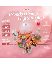 [Giữ Lại Rễ] Đặc Biệt_Lẵng Hoa Sen Đá - belovedbeyond.com