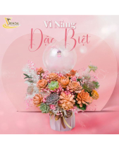 [Giữ Lại Rễ] Đặc Biệt_Lẵng Hoa Sen Đá - belovedbeyond.com