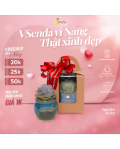 [Quà Tặng Doanh Nghiệp] Xinh_Món Quà Sen Đá - belovedbeyond.com