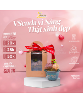 [Quà Tặng Doanh Nghiệp] Xinh_Món Quà Sen Đá - belovedbeyond.com