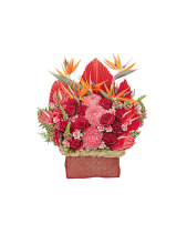 Chinh Phục Thành Công - belovedbeyond.com