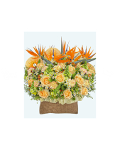 Đường Hoa - belovedbeyond.com