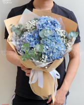 Bó Hoa Cẩm Tú Cầu - belovedbeyond.com