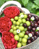 Hộp Quà Trái Cây Nhập Khẩu Cao Cấp Hoa Sáp - belovedbeyond.com