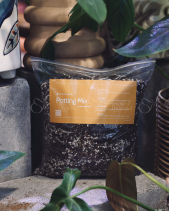 Đất Trồng Cây Kiểng Lá - belovedbeyond.com