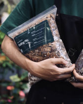 Đất Trồng Cây Kiểng Lá - belovedbeyond.com