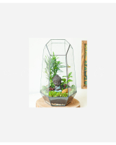 Terrarium An Yên - belovedbeyond.com