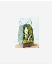 Terrarium An Lành - belovedbeyond.com
