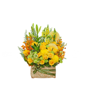 Thuận Lợi - belovedbeyond.com