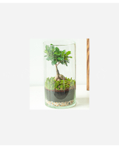 Terrarium Small Garden - belovedbeyond.com