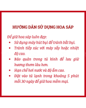 Ngày Hạ Nồng Nàn - Thaoco Florist - belovedbeyond.com