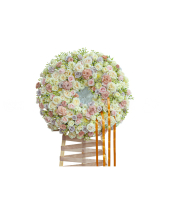 Thương Nhớ - belovedbeyond.com