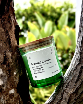 Nến Thủy Tinh Ombre Xanh Lá 230G -Woodsage Seasatl - belovedbeyond.com