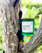 Nến Thủy Tinh Midimo Xanh Lá 230G - Red Apple - belovedbeyond.com