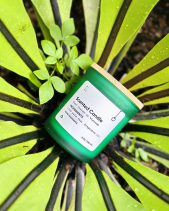 Nến Thủy Tinh Midimo Xanh Lá 230G - Palm Leaf - belovedbeyond.com