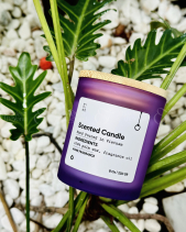 Nến Thủy Tinh Midimo Tím 230G - Woodsage Seasalt - belovedbeyond.com