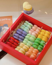 Set Bánh Macaron - belovedbeyond.com