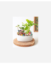 Khu Vườn Nhỏ - belovedbeyond.com