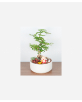 Tiểu Cảnh Thăng Tiến - belovedbeyond.com
