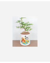 Tấn Lộc Thịnh Vượng - belovedbeyond.com