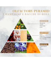 Nước Hoa Nội Thất Logevychampagnee Bacchediros 100 - belovedbeyond.com