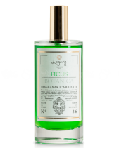 Nước Hoa Nội Thất Ficus Botanica - belovedbeyond.com