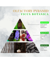 Nước Hoa Nội Thất Logevy Ficus Botanica (Big Size) - belovedbeyond.com