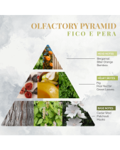 Nước Hoa Nội Thất Logevy Fico E Pera (Big Size) - belovedbeyond.com