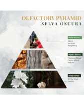 Nước Hoa Nội Thất Logevy Selva Oscura (Bigsize) - belovedbeyond.com