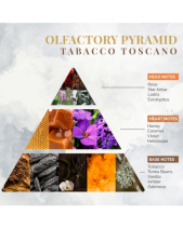 Nước Hoa Nội Thất Logevy Tabacco Toscan (Big Size) - belovedbeyond.com