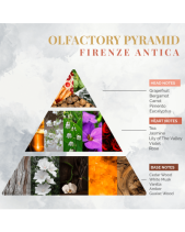Nước Hoa Nội Thất Logevy Firenze Antica 100Ml - belovedbeyond.com