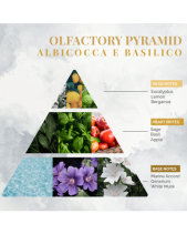 Nước Hoa Nội Thất Logevy Albicocca Ebasilico 100Ml - belovedbeyond.com