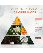Nước Hoa Nội Thất Logevy Arancio Cannella 100Ml - belovedbeyond.com