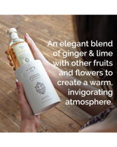 Nước Hoa Nội Thất Logevy Zenzero E Lime 100Ml - belovedbeyond.com