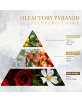 Nước Hoa Nội Thất Logevy Zenzero E Lime (Bs) - belovedbeyond.com