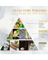 Nước Hoa Nội Thất Logevy Agrumi Speziati (Bs) - belovedbeyond.com
