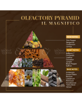 Nước Hoa Nội Thất Logevy Il Magnifico (Big Size) - belovedbeyond.com