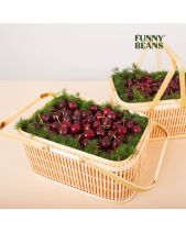 Giỏ Quà Trái Cây 6 - belovedbeyond.com