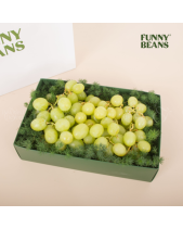 Hộp Quà Trái Cây Green - belovedbeyond.com