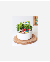 Tiểu Cảnh Couple - belovedbeyond.com