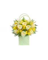 Ước Vọng - belovedbeyond.com