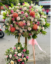 Hoa Chúc Mừng - Hồng Tươi 1 - belovedbeyond.com