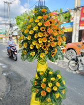 Hoa Chúc Mừng Khai Trương - Phát Đạt - belovedbeyond.com